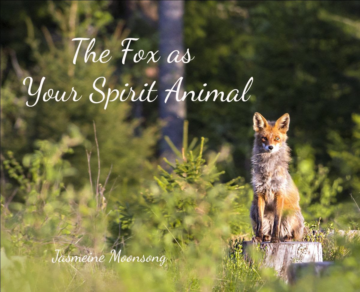 The Magickal Fox as a Totem Animal – Jasmeine Moonsong